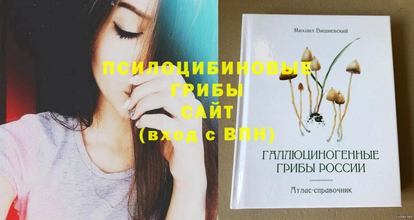 соль курить ск Белокуриха