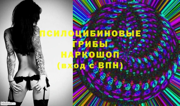 соль курить ск Белокуриха