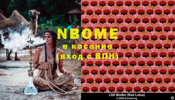 соль курить ск Белокуриха