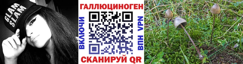 Псилоцибиновые грибы мухоморы гидра сайт Плёс